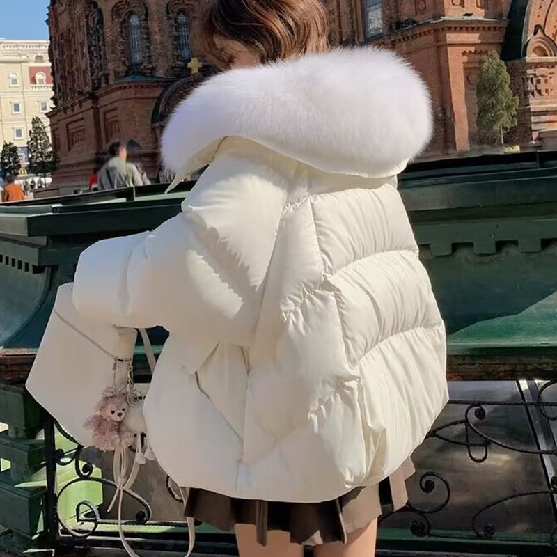 Women's Short Down Cotton-Padded Jacket – Thick Winter Coat with Fur Collar