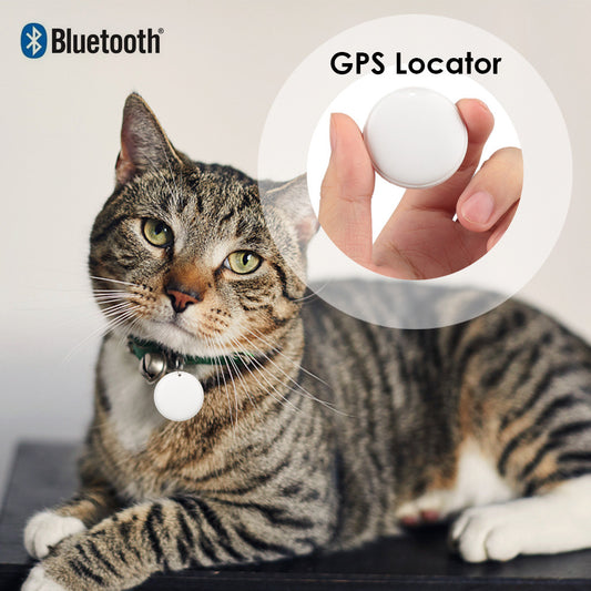 Mini GPS Tracker for Pets, Kids & Keys – Smart Tag Key Finder with Anti-Lost Alarm